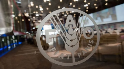 منظمة الـ FAO تقيم محاضرة في احد بساتين شط العرب لزيادة إنتاجية النخيل